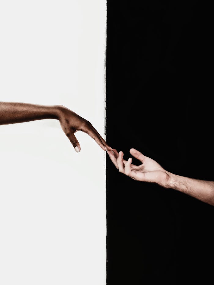 Hands in Front of White and Black Background